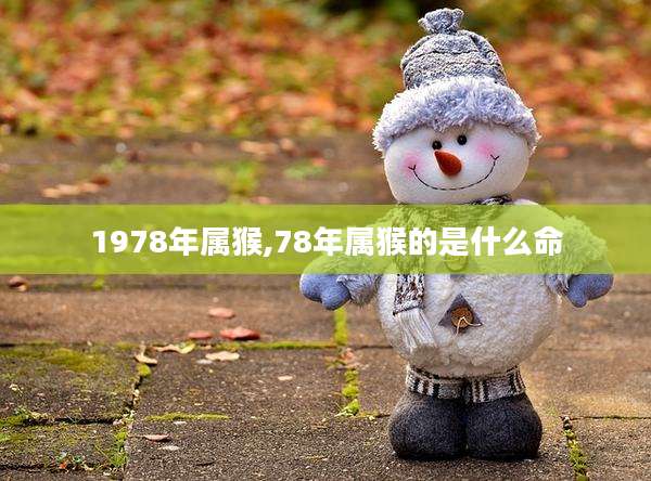 1978年属猴,78年属猴的是什么命