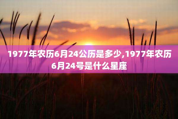 1977年农历6月24公历是多少,1977年农历6月24号是什么星座
