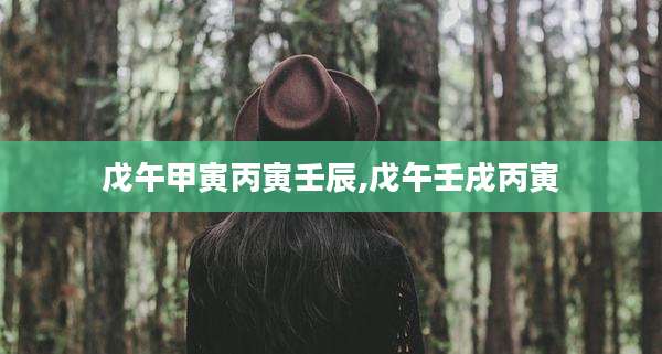 戊午甲寅丙寅壬辰,戊午壬戌丙寅