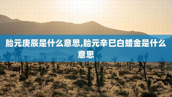 胎元庚辰是什么意思,胎元辛巳白蜡金是什么意思