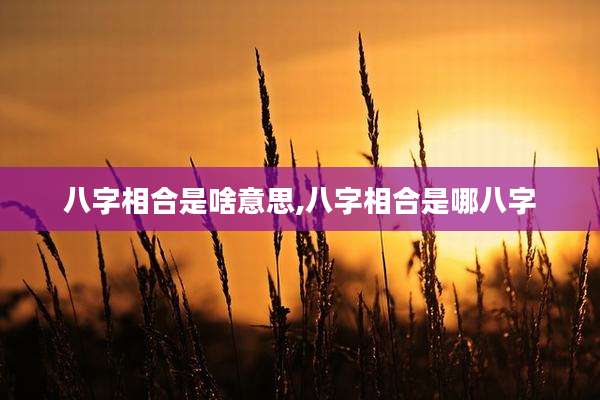 八字相合是啥意思,八字相合是哪八字