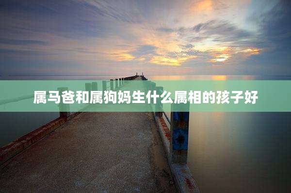 属马爸和属狗妈生什么属相的孩子好