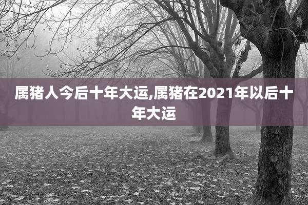 属猪人今后十年大运,属猪在2021年以后十年大运