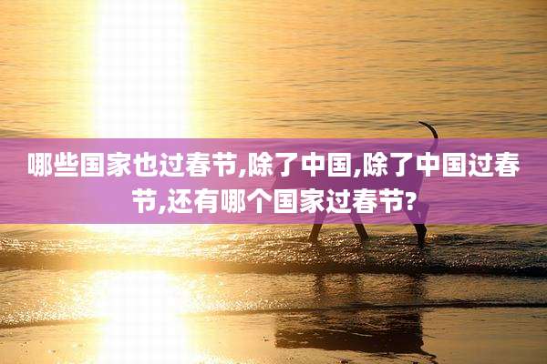 哪些国家也过春节,除了中国,除了中国过春节,还有哪个国家过春节?