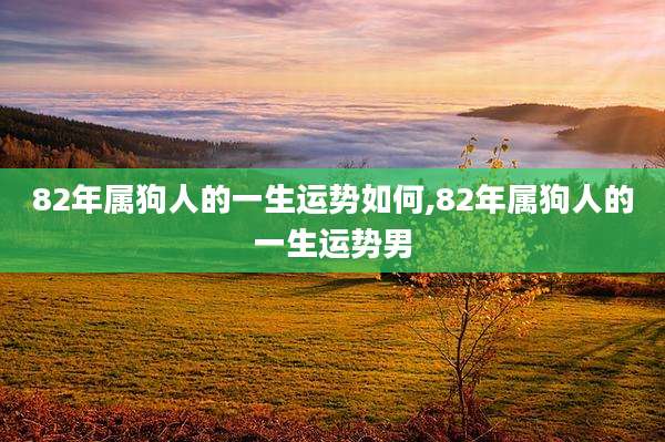 82年属狗人的一生运势如何,82年属狗人的一生运势男