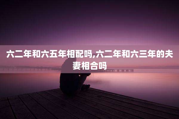 六二年和六五年相配吗,六二年和六三年的夫妻相合吗