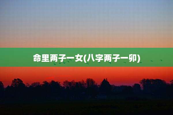 命里两子一女(八字两子一卯)