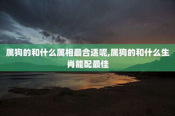 属狗的和什么属相最合适呢,属狗的和什么生肖能配最佳