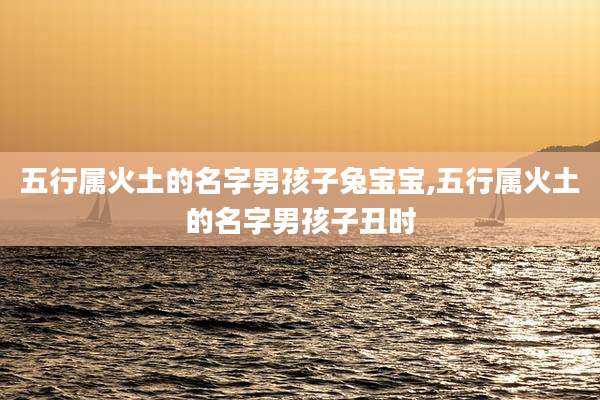 五行属火土的名字男孩子兔宝宝,五行属火土的名字男孩子丑时