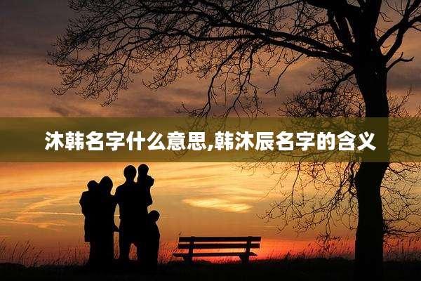 沐韩名字什么意思,韩沐辰名字的含义