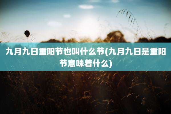 九月九日重阳节也叫什么节(九月九日是重阳节意味着什么)
