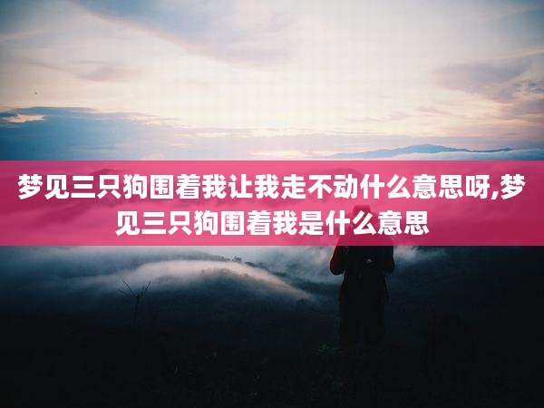 梦见三只狗围着我让我走不动什么意思呀,梦见三只狗围着我是什么意思