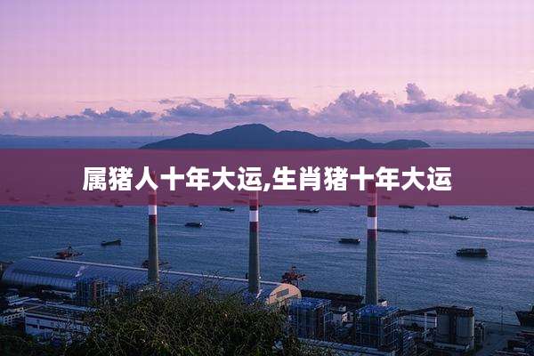 属猪人十年大运,生肖猪十年大运