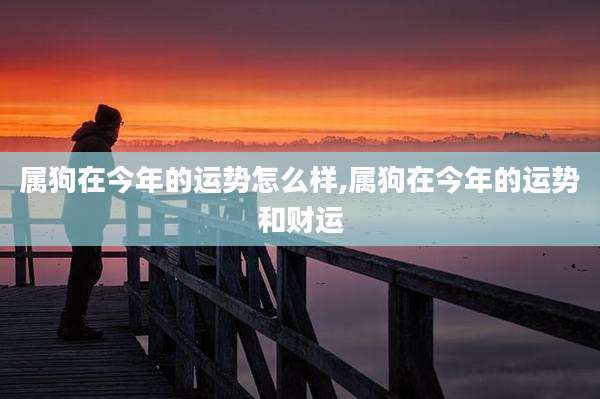 属狗在今年的运势怎么样,属狗在今年的运势和财运