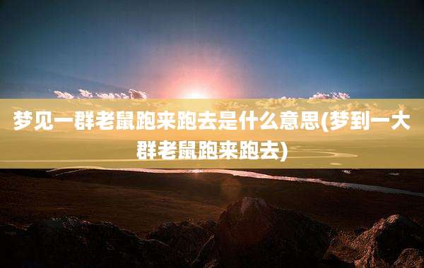 梦见一群老鼠跑来跑去是什么意思(梦到一大群老鼠跑来跑去)