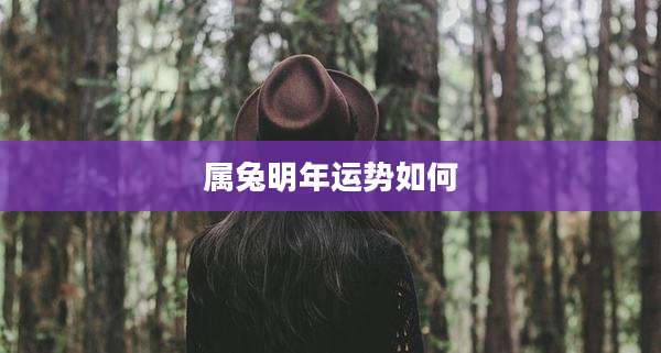 属兔明年运势如何