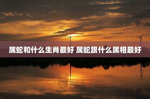 属蛇和什么生肖最好 属蛇跟什么属相最好