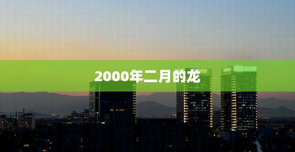 2000年二月的龙