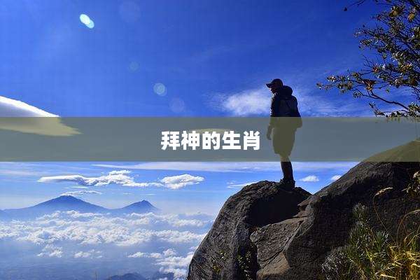 拜神的生肖