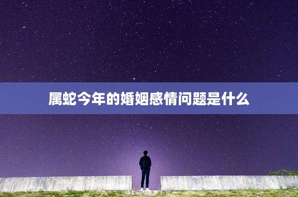 属蛇今年的婚姻感情问题是什么