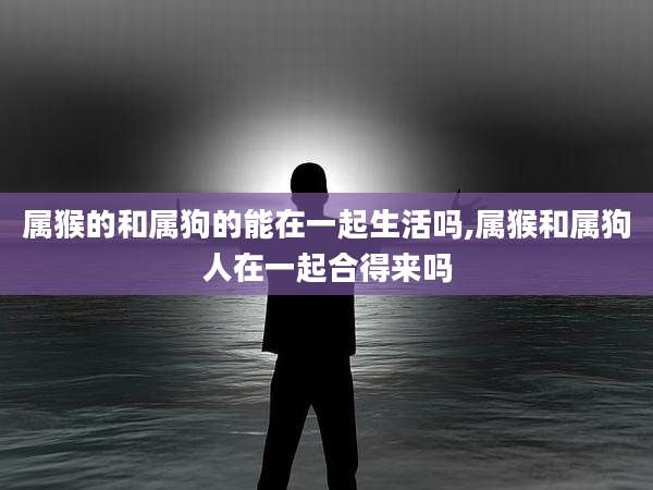 属猴的和属狗的能在一起生活吗,属猴和属狗人在一起合得来吗
