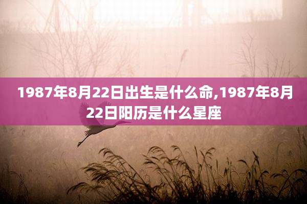 1987年8月22日出生是什么命,1987年8月22日阳历是什么星座