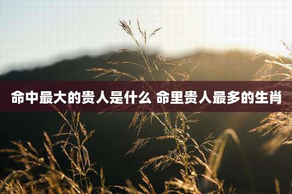 命中最大的贵人是什么 命里贵人最多的生肖