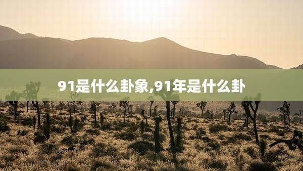 91是什么卦象,91年是什么卦