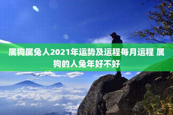 属狗属兔人2021年运势及运程每月运程 属狗的人兔年好不好