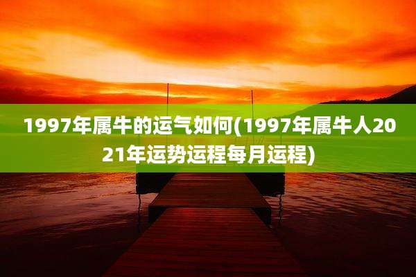 1997年属牛的运气如何(1997年属牛人2021年运势运程每月运程)