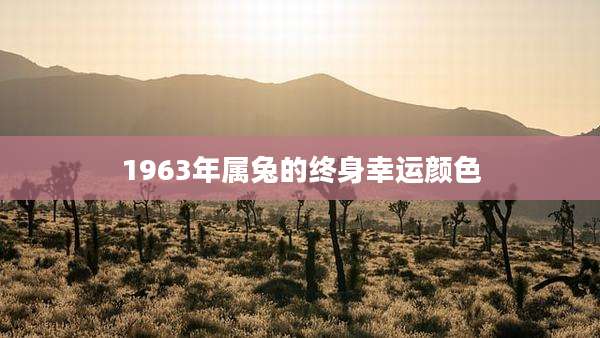 1963年属兔的终身幸运颜色