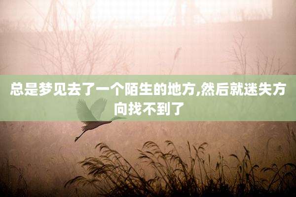 总是梦见去了一个陌生的地方,然后就迷失方向找不到了