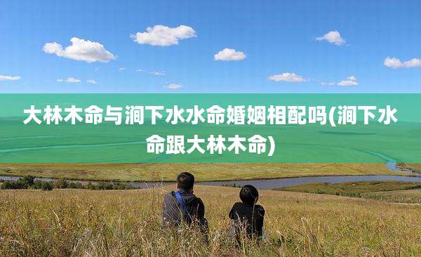 大林木命与涧下水水命婚姻相配吗(涧下水命跟大林木命)