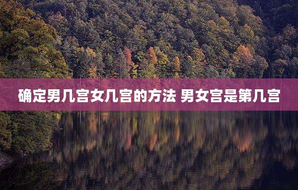 确定男几宫女几宫的方法 男女宫是第几宫