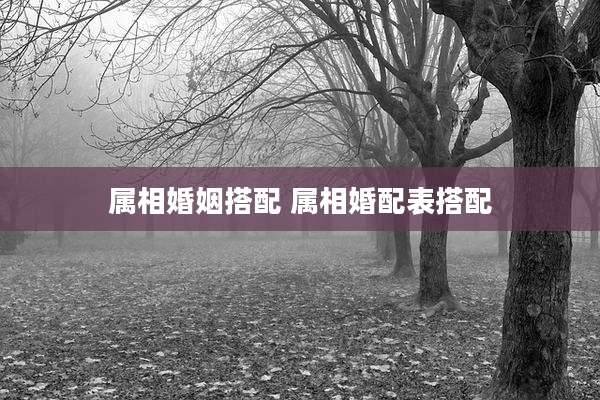 属相婚姻搭配 属相婚配表搭配
