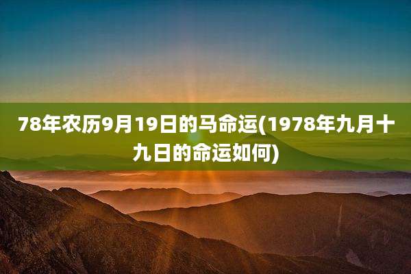 78年农历9月19日的马命运(1978年九月十九日的命运如何)