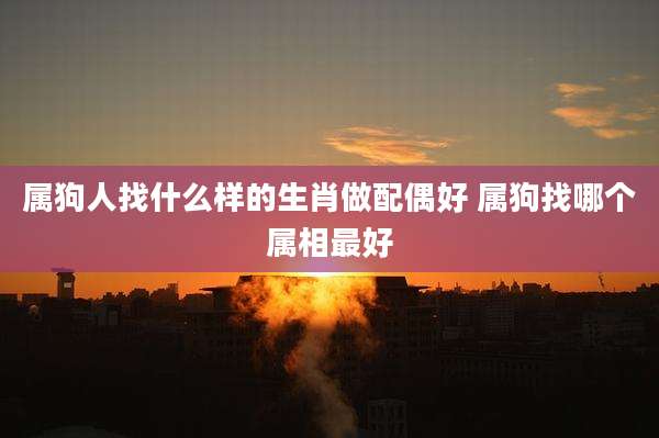 属狗人找什么样的生肖做配偶好 属狗找哪个属相最好