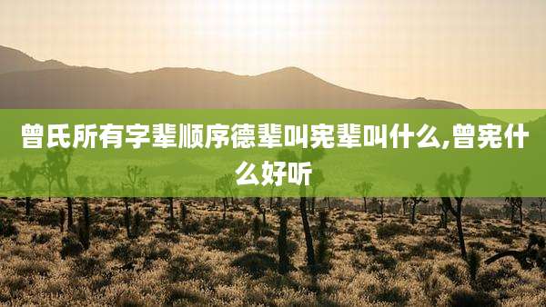 曾氏所有字辈顺序德辈叫宪辈叫什么,曾宪什么好听