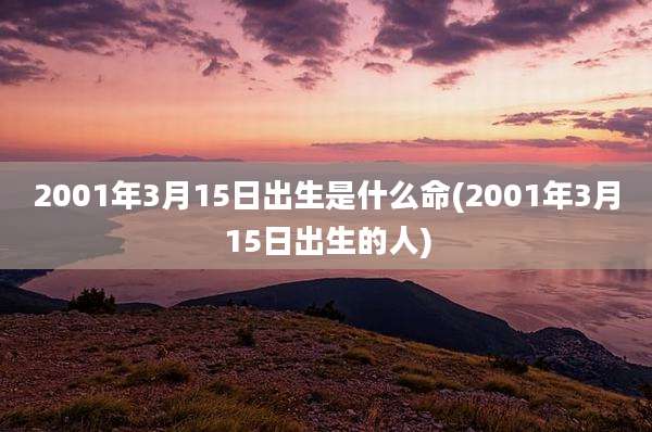 2001年3月15日出生是什么命(2001年3月15日出生的人)