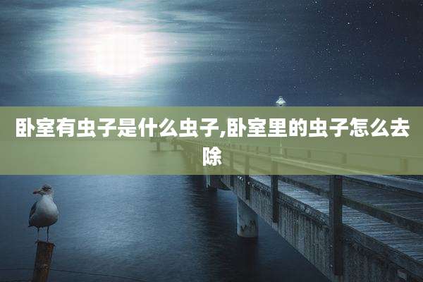 卧室有虫子是什么虫子,卧室里的虫子怎么去除