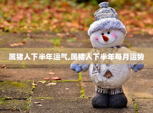 属猪人下半年运气,属猪人下半年每月运势