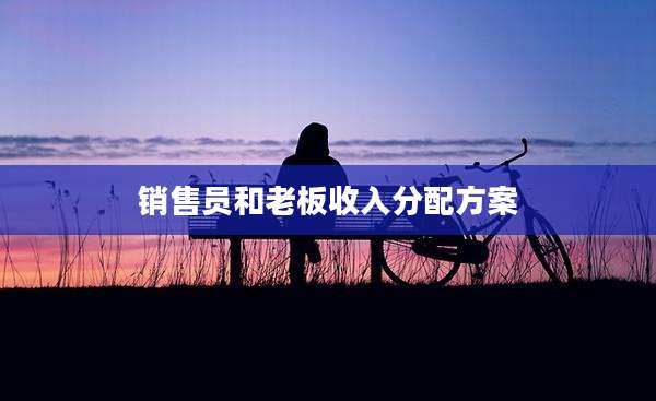 销售员和老板收入分配方案