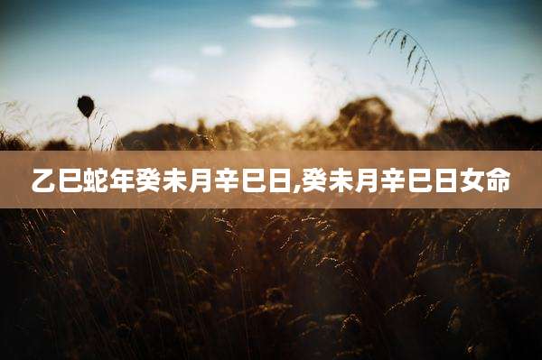 乙巳蛇年癸未月辛巳日,癸未月辛巳日女命