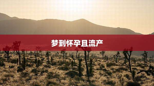 梦到怀孕且流产