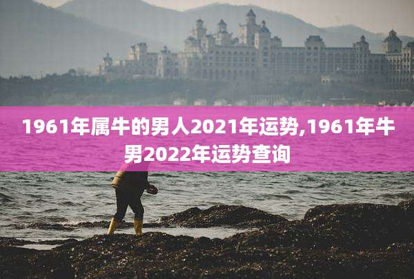 1961年属牛的男人2021年运势,1961年牛男2022年运势查询