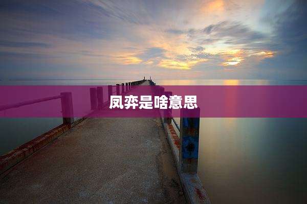 凤弈是啥意思