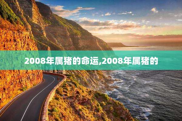 2008年属猪的命运,2008年属猪的