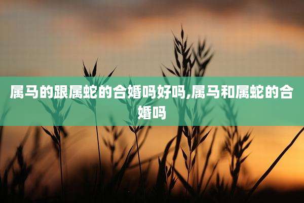属马的跟属蛇的合婚吗好吗,属马和属蛇的合婚吗