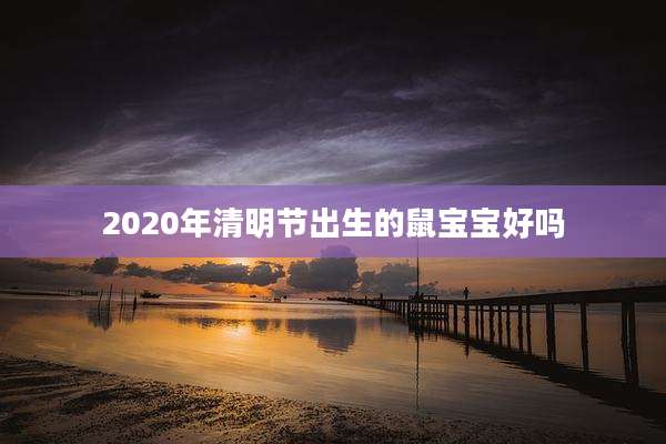 2020年清明节出生的鼠宝宝好吗