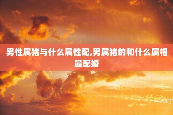 男性属猪与什么属性配,男属猪的和什么属相最配婚